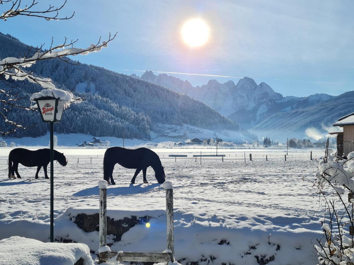 Apartmenthaus Edelweiss In Gosau Eksteriør bilde