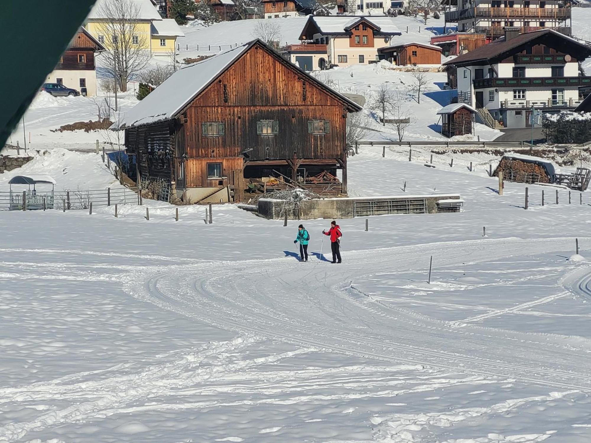 Apartmenthaus Edelweiss In Gosau Eksteriør bilde