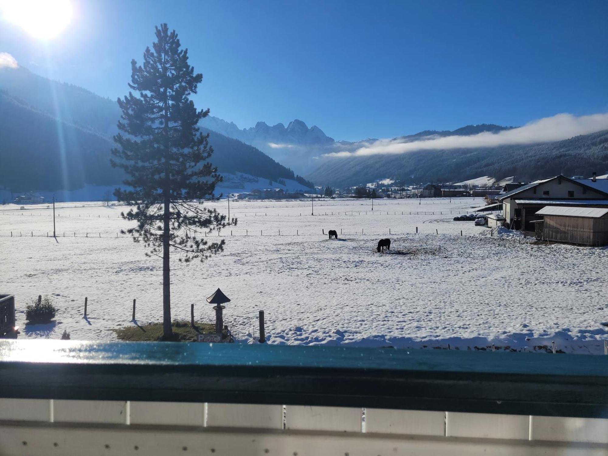 Apartmenthaus Edelweiss In Gosau Eksteriør bilde
