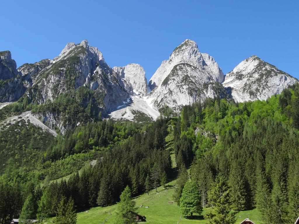 Apartmenthaus Edelweiss In Gosau Rom bilde